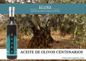 aceite de olivos cententarios