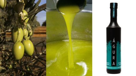 elaboración de aceite de oliva virgen extra
