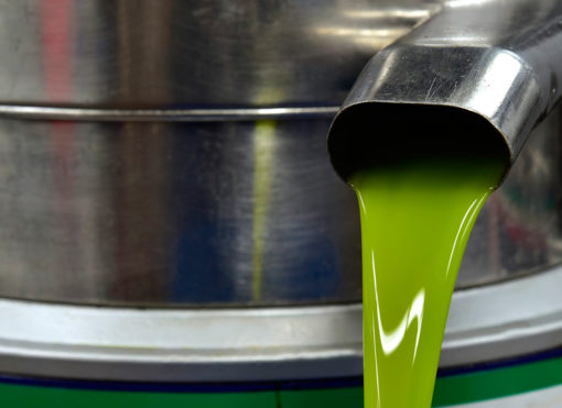 elaboración aceite de oliva virgen extra